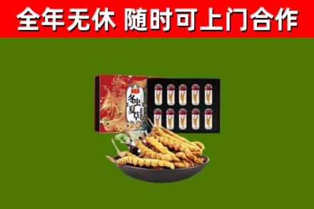 海东回收冬虫夏草价格